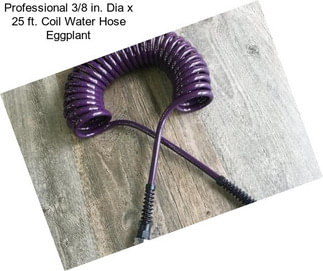 Professional 3/8 in. Dia x 25 ft. Coil Water Hose Eggplant