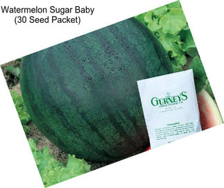 Watermelon Sugar Baby (30 Seed Packet)