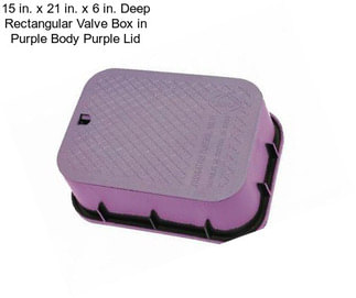 15 in. x 21 in. x 6 in. Deep Rectangular Valve Box in Purple Body Purple Lid