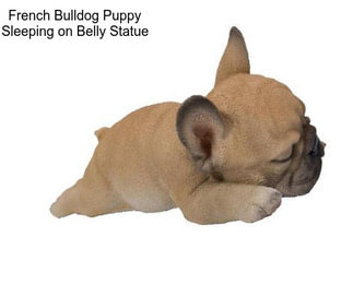 French Bulldog Puppy Sleeping on Belly Statue