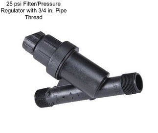 25 psi Filter/Pressure Regulator with 3/4 in. Pipe Thread