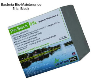 Bacteria Bio-Maintenance 5 lb. Block