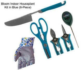 Bloom Indoor Houseplant Kit in Blue (6-Piece)
