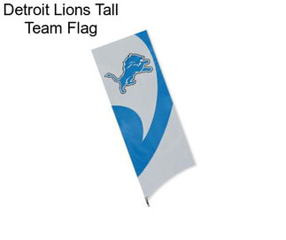 Detroit Lions Tall Team Flag