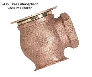 3/4 in. Brass Atmospheric Vacuum Breaker