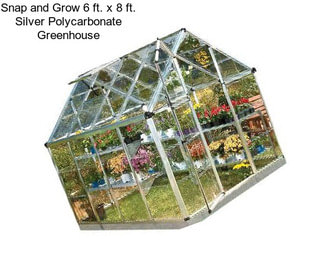 Snap and Grow 6 ft. x 8 ft. Silver Polycarbonate Greenhouse