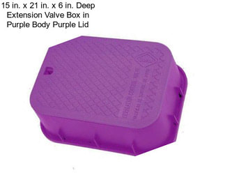 15 in. x 21 in. x 6 in. Deep Extension Valve Box in Purple Body Purple Lid