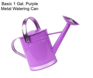 Basic 1 Gal. Purple Metal Watering Can