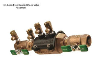 1 in. Lead-Free Double Check Valve Assembly