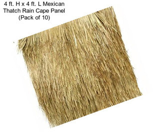 4 ft. H x 4 ft. L Mexican Thatch Rain Cape Panel (Pack of 10)