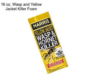 16 oz. Wasp and Yellow Jacket Killer Foam