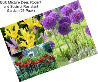 Bulb Mixture Deer, Rodent and Squirrel Resistant Garden (25-Pack)