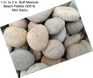 1 in. to 2 in. Buff Mexican Beach Pebble (500 lb. Mini Sack)