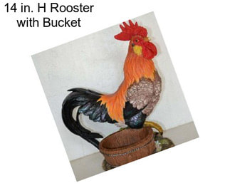 14 in. H Rooster with Bucket