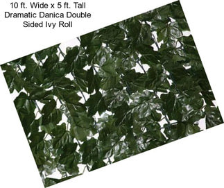 10 ft. Wide x 5 ft. Tall Dramatic Danica Double Sided Ivy Roll