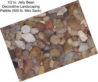 1/2 in. Jelly Bean Decorative Landscaping Pebble (500 lb. Mini Sack)