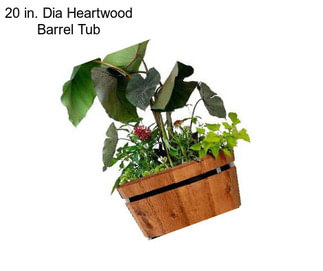 20 in. Dia Heartwood Barrel Tub