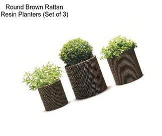 Round Brown Rattan Resin Planters (Set of 3)