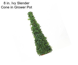 8 in. Ivy Slender Cone in Grower Pot