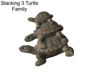 Stacking 3 Turtle Family