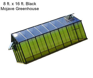 8 ft. x 16 ft. Black Mojave Greenhouse