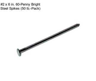 #2 x 6 in. 60-Penny Bright Steel Spikes (50 lb.-Pack)