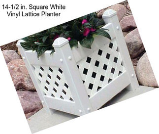 14-1/2 in. Square White Vinyl Lattice Planter