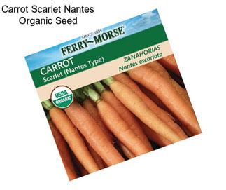 Carrot Scarlet Nantes Organic Seed