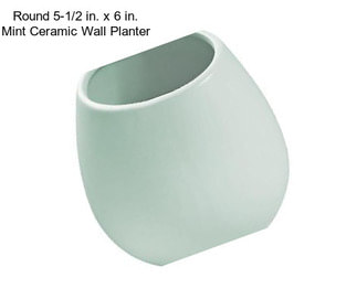 Round 5-1/2 in. x 6 in. Mint Ceramic Wall Planter