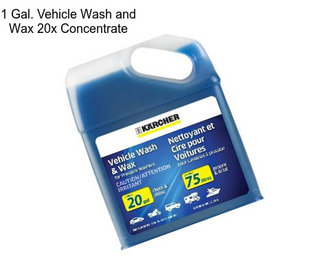 1 Gal. Vehicle Wash and Wax 20x Concentrate