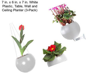7 in. x 6 in. x 7 in. White Plastic, Table, Wall and Ceiling Planter (3-Pack)