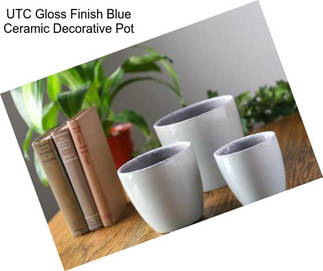 UTC Gloss Finish Blue Ceramic Decorative Pot