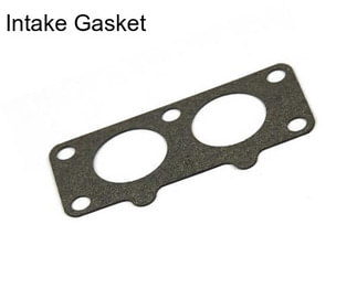 Intake Gasket