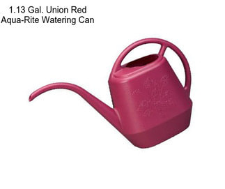 1.13 Gal. Union Red Aqua-Rite Watering Can
