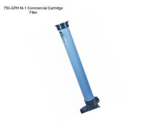 750-GPH M-1 Commercial Cartridge Filter