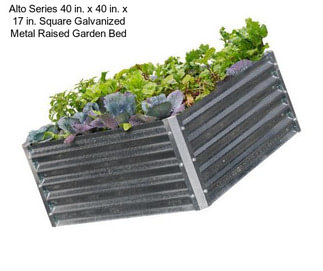 Alto Series 40 in. x 40 in. x 17 in. Square Galvanized Metal Raised Garden Bed