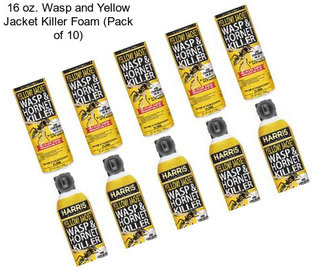 16 oz. Wasp and Yellow Jacket Killer Foam (Pack of 10)