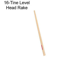 16-Tine Level Head Rake