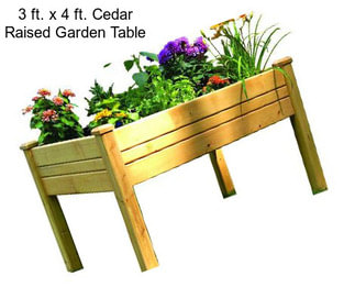 3 ft. x 4 ft. Cedar Raised Garden Table