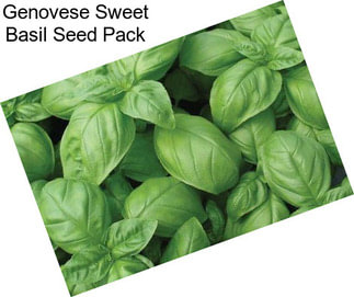 Genovese Sweet Basil Seed Pack