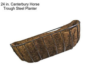 24 in. Canterbury Horse Trough Steel Planter