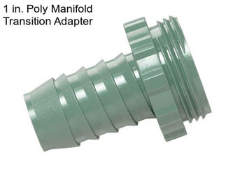 1 in. Poly Manifold Transition Adapter