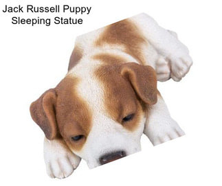 Jack Russell Puppy Sleeping Statue