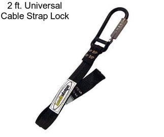 2 ft. Universal Cable Strap Lock