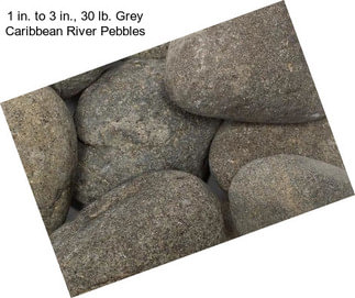 1 in. to 3 in., 30 lb. Grey Caribbean River Pebbles