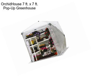 OrchidHouse 7 ft. x 7 ft. Pop-Up Greenhouse