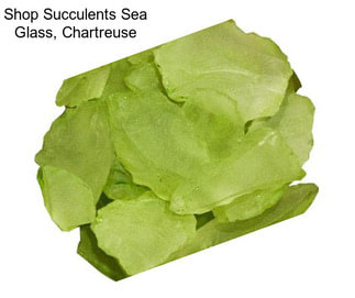 Shop Succulents Sea Glass, Chartreuse