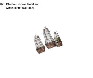 Bird Planters Brown Metal and Wire Cloche (Set of 3)