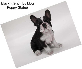 Black French Bulldog Puppy Statue