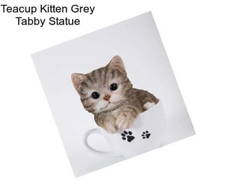 Teacup Kitten Grey Tabby Statue